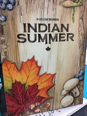 Read more about the article Indian Summer de Uwe Rosenberg