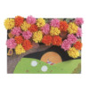 Explosion de pompons – Image 2