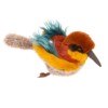 Oiseau guêpier Tout autour du monde – Image 2