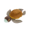 Petite tortue Tout autour du monde – Image 2