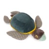 Grande tortue Tout autour du monde – Image 2